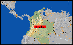Herkunftsgebiet Colostethus palmatus